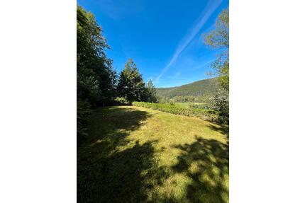 Freizeitgrundstück zu verpachten - Edersee - ab April 2026 - Edertal