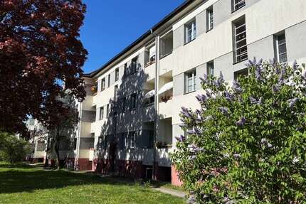 Wohnung zum Mieten in Dresden 616,00 € 56 m²