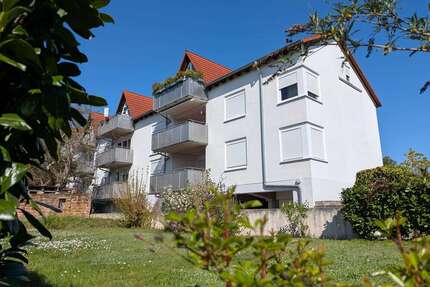 Wohnung zum Mieten in Mackenbach 740,00 € 62 m²