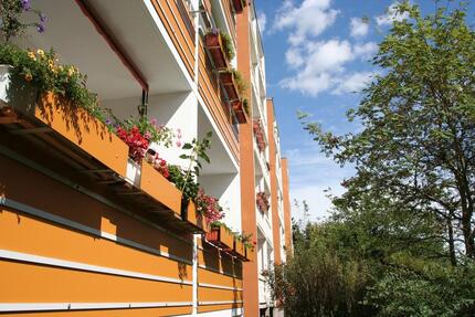 Für Singles: Einziehen und Wohl-Fühlen!!! - Hohenstein-Ernstthal