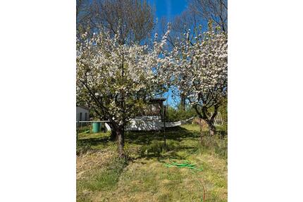 Kleingarten abzugeben Sparte “Fortschritt“ - Greifswald