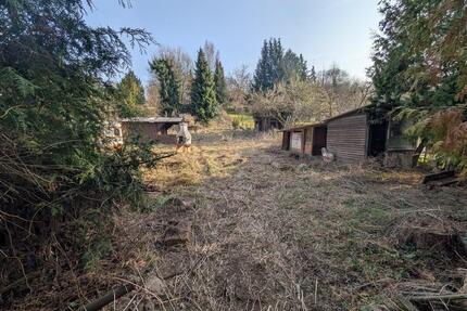 Projekt für Naturliebhaber: 1800 m² Freizeitgrundstück Garten - Bodenwerder