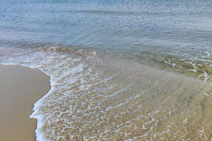 Ferienwohnung Bulgarien direkt an Sonnenstrand 200 Meter zum Meer - Halstenbek