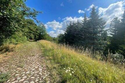 +++ Großes Grundstück in Wethau +++