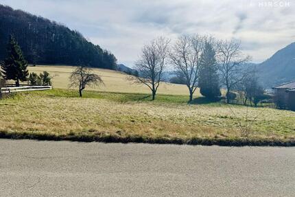 Unverbaubares Traumgrundstück ! Jetzt diese Möglichkeit sichern ! - Lichtenstein