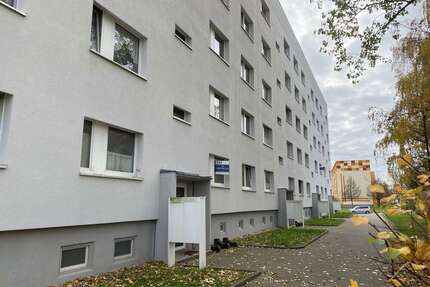 Wohnung zum Mieten in Grimma 335,50 € 61 m²