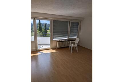 Charmante 1-Zimmerwohnung zu vermieten - Altensteig