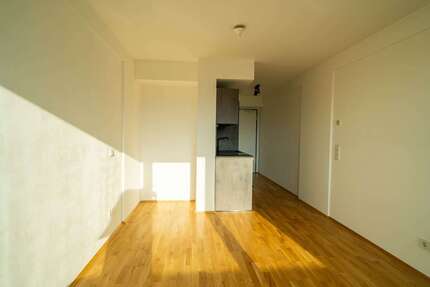 Wohnung zum Mieten in Regensburg 520,00 € 24.5 m²