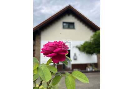 Haus zum Kaufen in Calau 339.000,00 € 220 m²