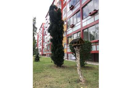 Wohnung zum Mieten in Zeitz 302,00 € 50 m²