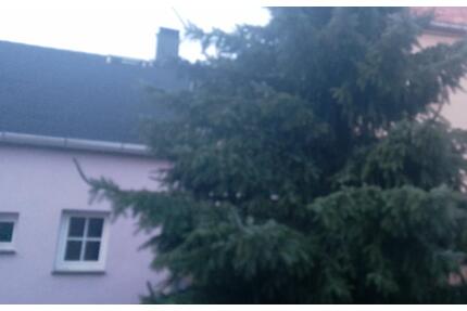 Hausverkauf Reihenhaus in Stolpen Grundstück