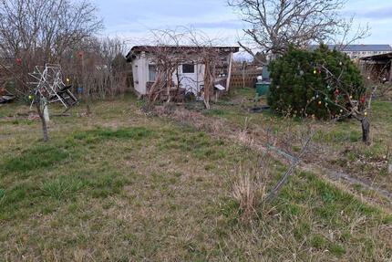 Kleingarten abzugeben in Prösen, Kleingartenanlage - Gröditz