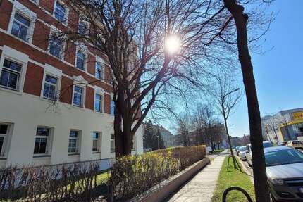 Wohnung zum Mieten in Chemnitz 200,00 € 39.44 m²
