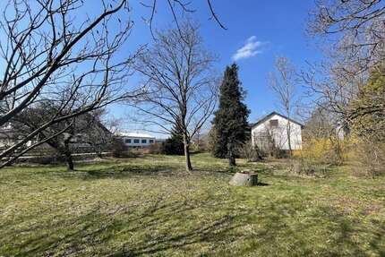 Grundstück zu verkaufen in Salgen 139.000,00 € 1073 m²