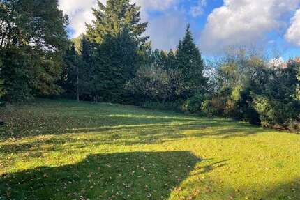 Grundstück zu verkaufen in Asendorf 299.000,00 € 1324 m²