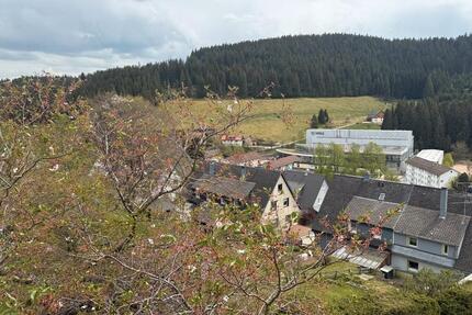 3-Zimmer-Wohnung in Furtwangen - 720,00&nbsp;EUR Kaltmiete, ca.&nbsp; 84,00&nbsp;m&sup2; in Furtwangen im Schwarzwald (PLZ: 78120)