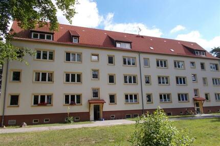 4-Raum-Wohnung in ruhiger Wohnlage von Elsnig - direkt am Wald - Dommitzsch