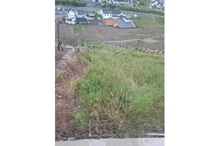 Weinberg Walporzheim Ahrweiler - 2.400,00&nbsp;EUR Kaltmiete, ca.&nbsp; 0,00&nbsp;m&sup2; in Bad Neuenahr-Ahrweiler (PLZ: 53474)