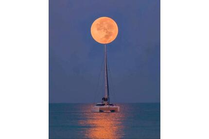 Sehr gemütliche Etagenwohnung im 1.OG mit Balkon in 45279 Essen. - Bochum Eppendorf