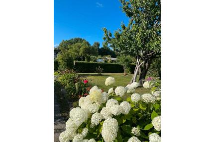 Garten auf der Insel Rügen - Beteiligung super günstig - Berlin Steglitz-Zehlendorf