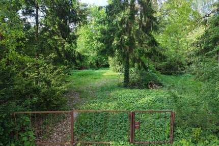 Grundstück zu verkaufen in Wandlitz 220.000,00 € 1267 m²