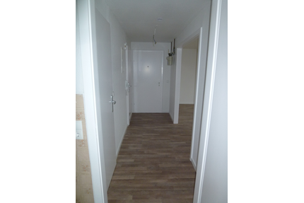 Wohnung zum Mieten in Worms 485,00 € 45 m²