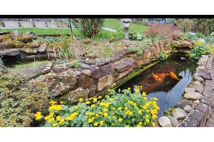 2 Fam. Haus mit viel Platz für eine große Familie - Erbach