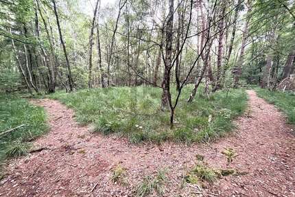 Grundstück zu verkaufen in Pinneberg 100.000,00 € 5634 m²