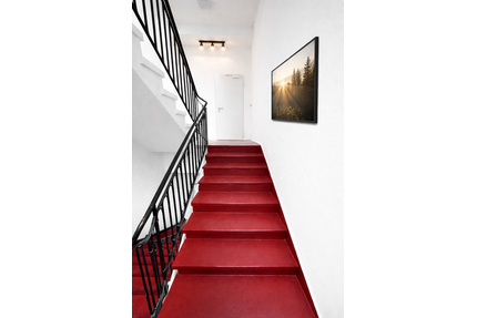 Wohnung zum Kaufen in Mainz 224.000,00 € 39.58 m²