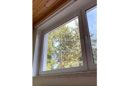 Sonnige 3-Raum Wohnung mit Kamin in einem Einfamilienhaus - Schwielowsee