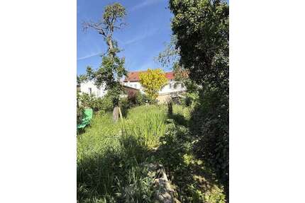 Wohnung zum Mieten in Apolda 770,00 € 87 m²