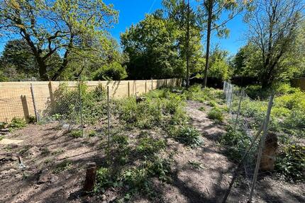 Garten zentrale Lage zur Miete in Frankfurt Eckenheim - Frankfurt am Main Nord-Ost