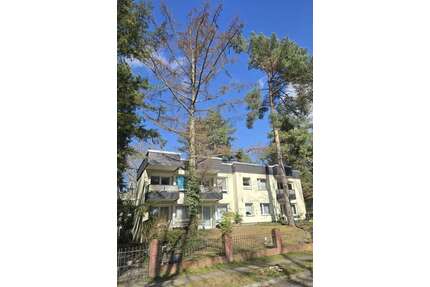 Wohnung zum Kaufen in Berlin 250.000,00 € 56 m²