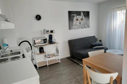 möbliertes Appartement auf Zeit Pendlerwohnung - Michelfeld