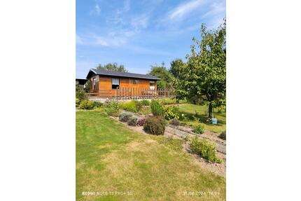 schöner Garten mit großer Laube in gepflegter Anlage zu vergeben - Chemnitz Ebersdorf