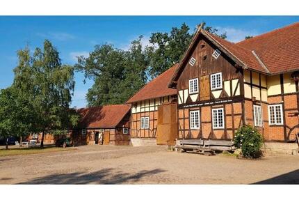 Lichtdurchflutetes 1-Zimmer-Appartement auf altem Bauernhof - Römstedt