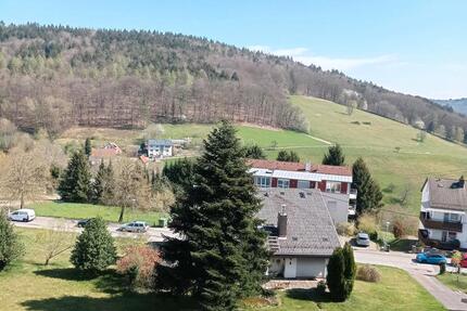 2 Zimmer Wohnung. - 595,00&nbsp;EUR Kaltmiete, ca.&nbsp; 55,00&nbsp;m&sup2; in Wilhelmsfeld (PLZ: 69259)