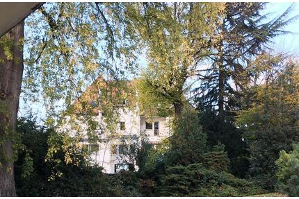 1-Zimmer Wohnung in Köln-Rodenkirchen von Privat zu vermieten