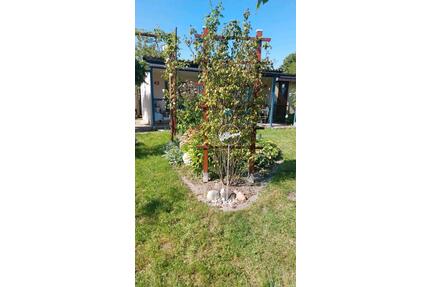 Kleingarten abzugeben - 2.200,00&nbsp;EUR Kaltmiete, ca.&nbsp; 0,00&nbsp;m&sup2; in Leipzig (PLZ: 04299) Südost