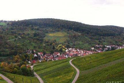 Idyllisches Wohnen, umgeben von Weinbergen und Obstbaumwiesen. - Weinstadt Strümpfelbach
