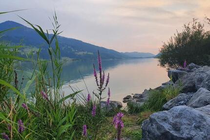 Ferienwohnung im Allgäu Oberallgäu Bayern Berge See - Rettenberg