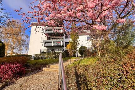 Helle Wohnung 2 ZKB | Dachterrasse | ruhige Lage | Provisionsfrei - Wissen