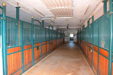 Bauernhof, Pferdehof, Reitanlage: Einnahmen ca. 9.000 €Mon. - Emmelshausen