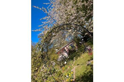 GARTEN in HST- DEVIN: romantisch, kinderfreundlich, STRAND nah - Stralsund