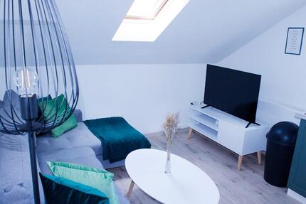 Möblierte 2-Zimmer Wohnung mit EBK, Klima, WiFi in Bühl, Neusatz