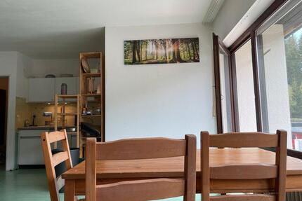 1,5-Zimmerwohnung mit Balkon und Carport - Schluchsee