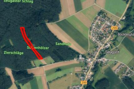 Ca. 1,4 ha Wald-, Forstgrundstück - Freihung