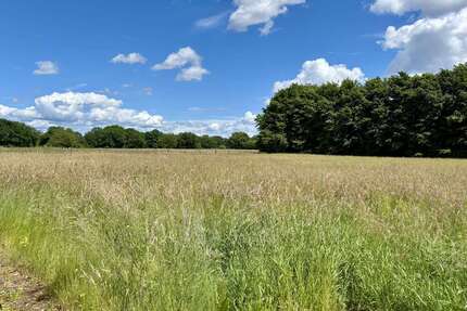 Grundstück in Ellerbek 950.000,00 € 5936 m²