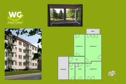 3 Zimmer Dusche & Balkon modern saniert - Calau