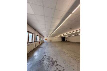 Halle in Wald-Michelbach 4.037,50 € 950 m²